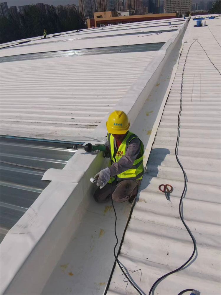 陕西水库大坝防水堵漏公司