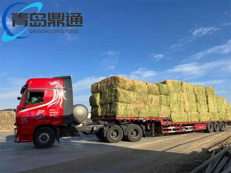 牛骨粒清关方案指南