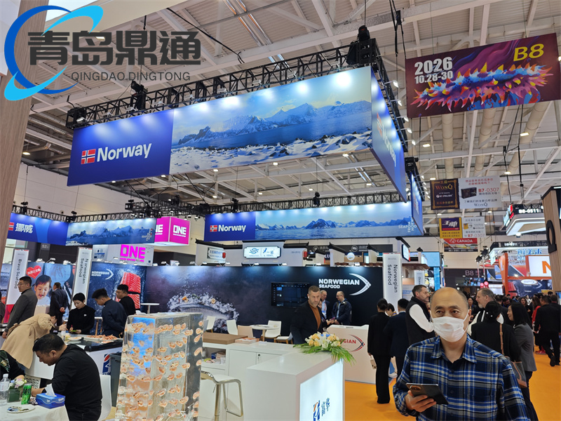 冷冻南美对虾清关代理