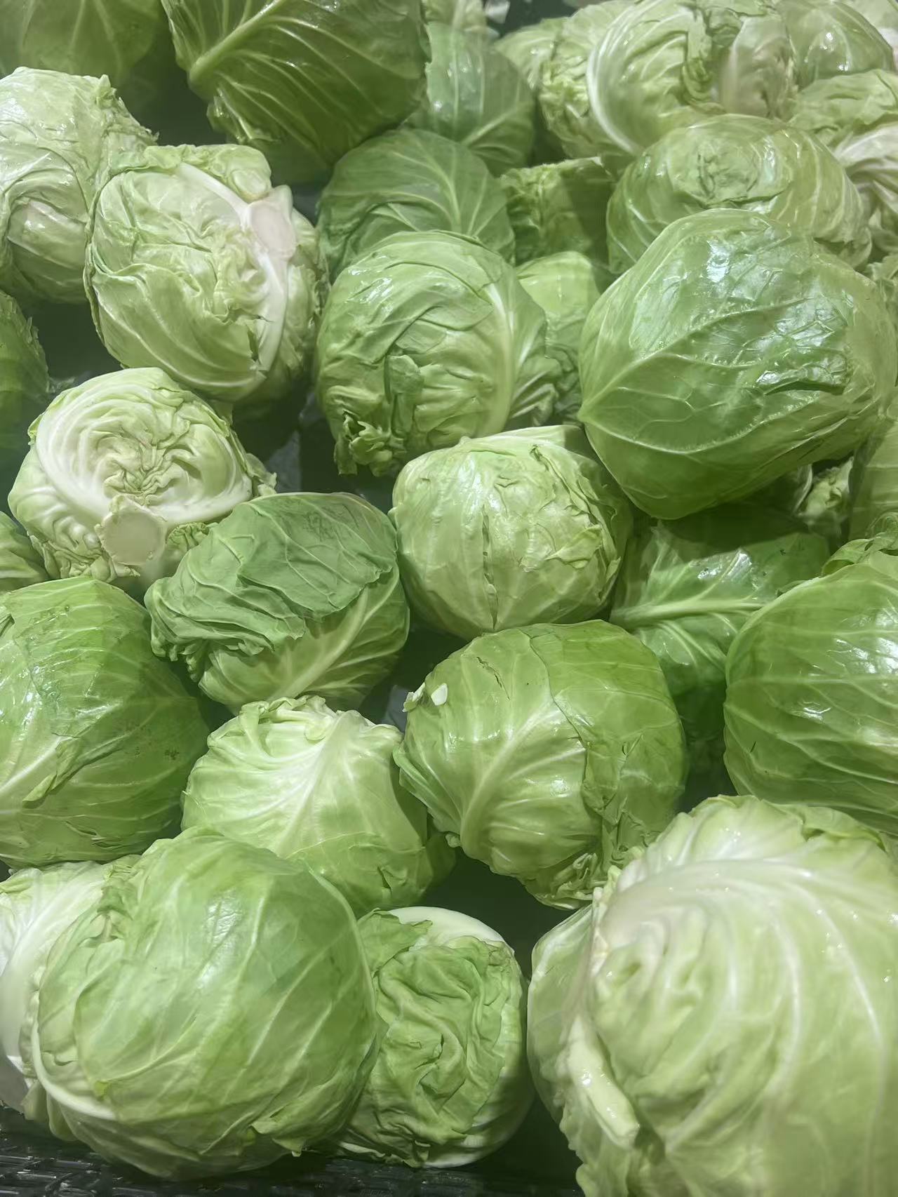 謝崗蔬菜配送多少錢