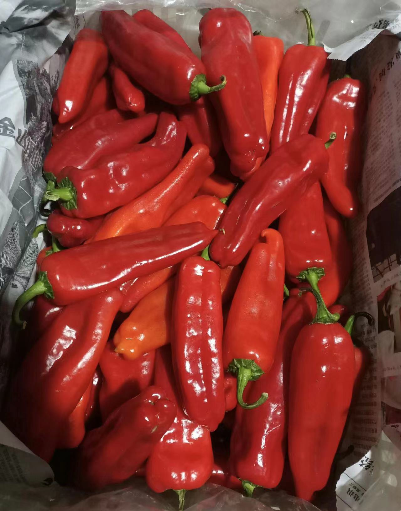 謝崗蔬菜配送多少錢