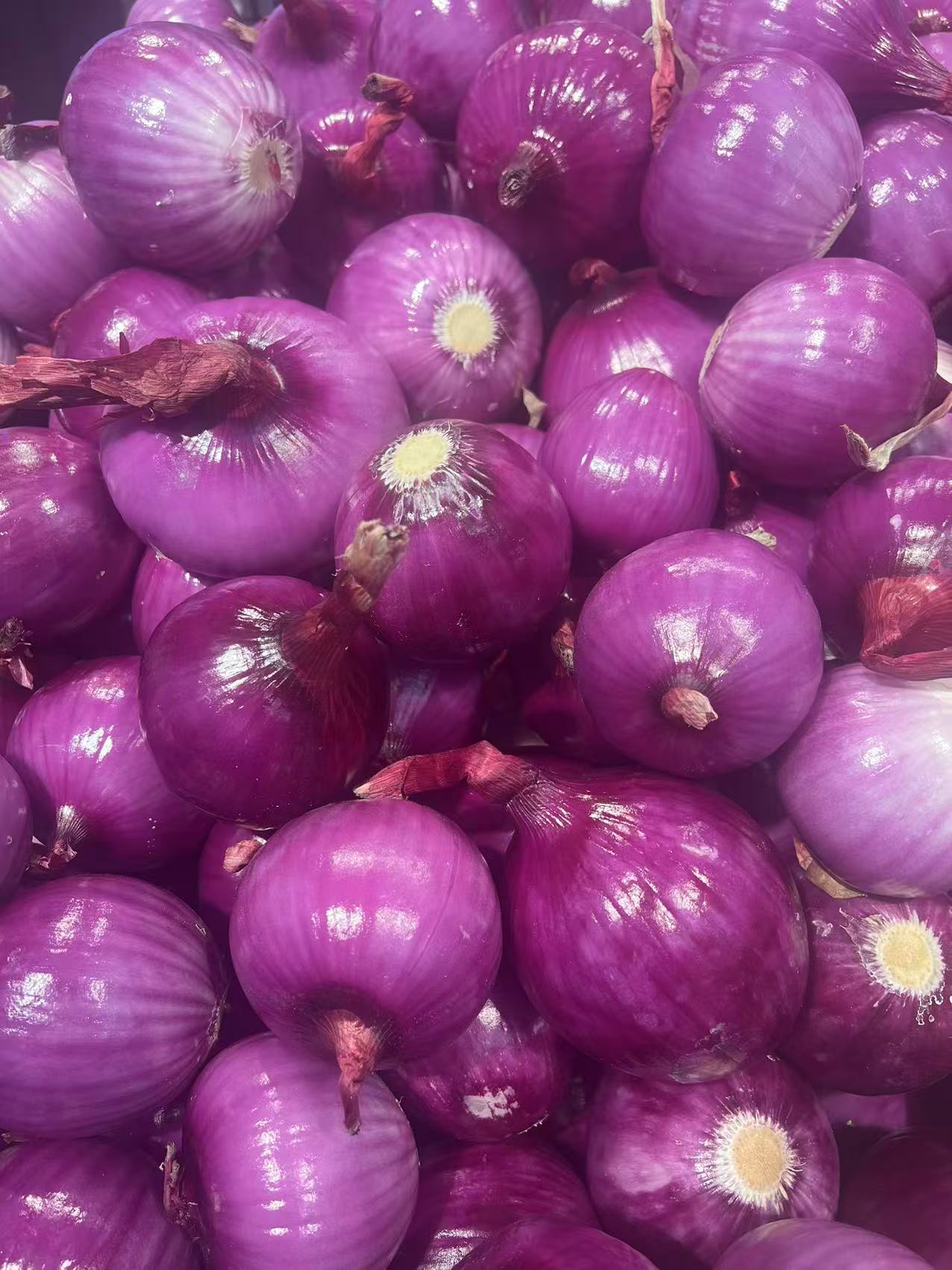 茶山鎮(zhèn)蔬菜配送供應(yīng)