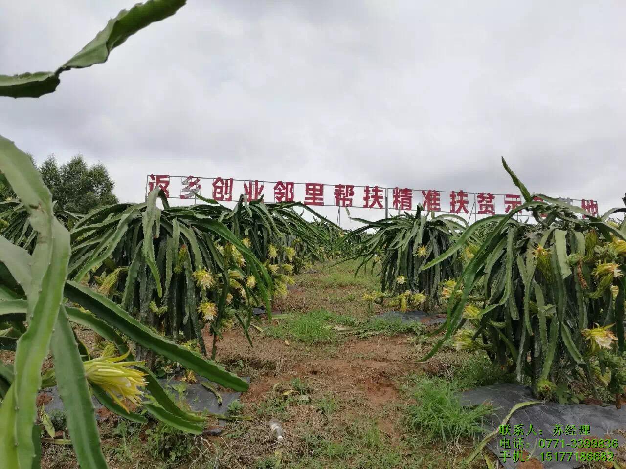 云南广西烘干机-威尔信烘干设备-南宁烘干机