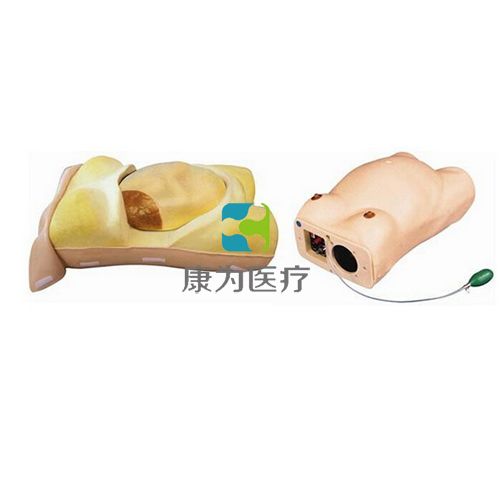 “康为医疗”高级孕妇检查模型