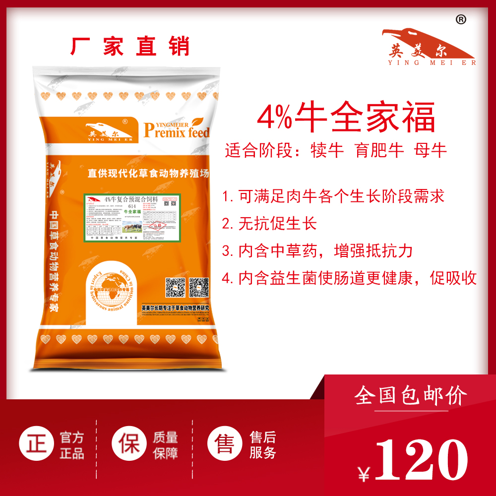 喂牛饲料怎么搭配？