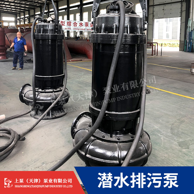 江苏总经销200WQ300-7-11无堵塞潜水排污泵城市污水排放