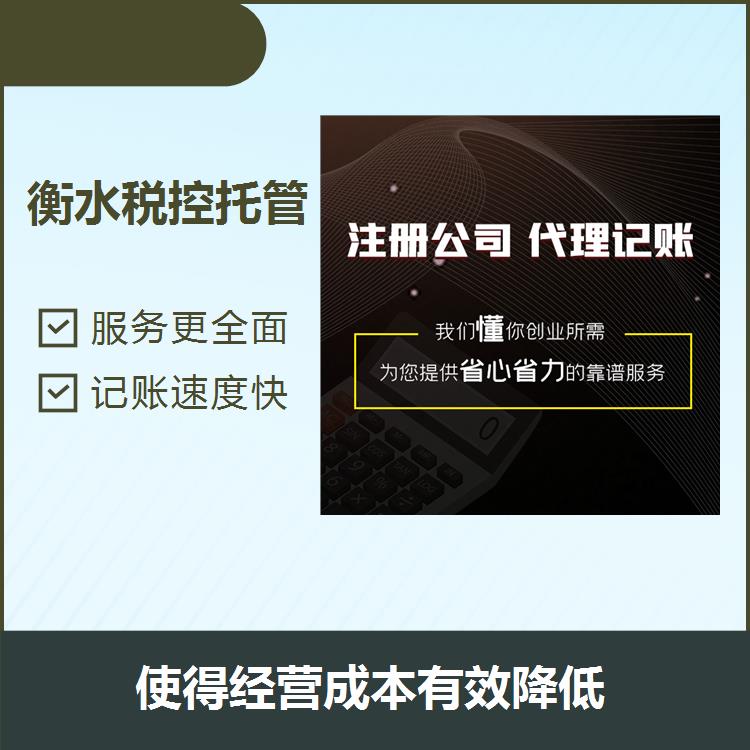 河北一般纳税人 节约公司运营成本 省心省力省时