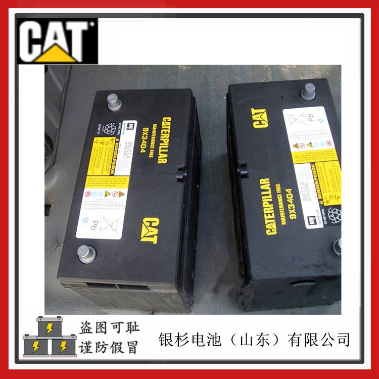 卡特CAT蓄电池9X-3404特履带式装载机用12V-100AH/950CCA启动电池