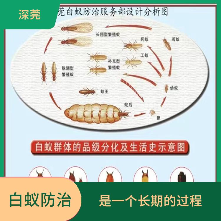 凤岗白蚁灭治收费 使用专有的设备和工具 需要持续不断地进行监测和防治