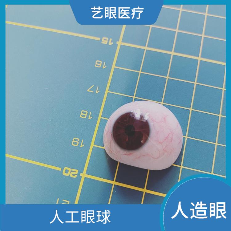 进口假眼 人工眼球 进口系列