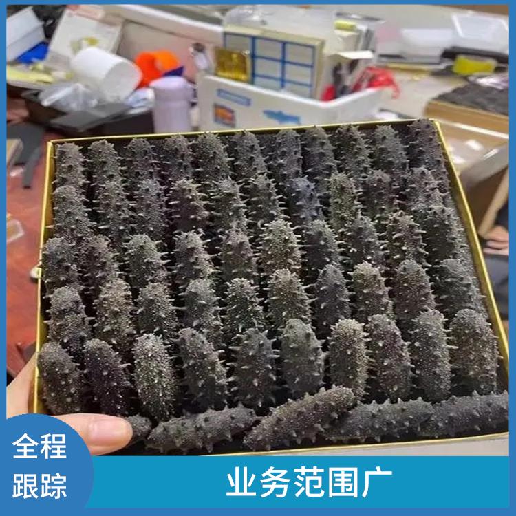 福建黄姑鱼进口清关电话 量大量小均可接 服务范围广