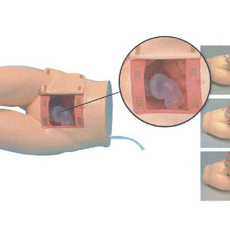 弘领医学用 灌肠和辅助排便训练模型灌肠模型护理技能教学培训练习