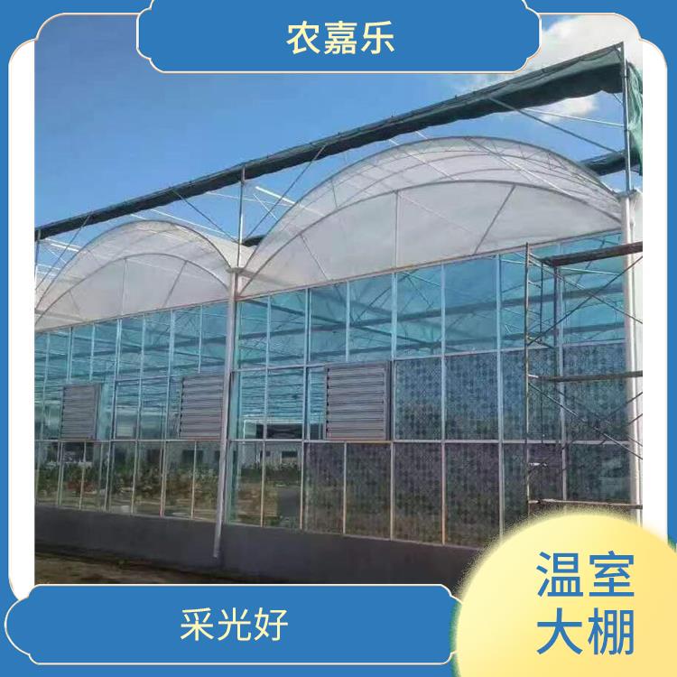 沧州花卉温室大棚建造 智能种植农业温室大棚