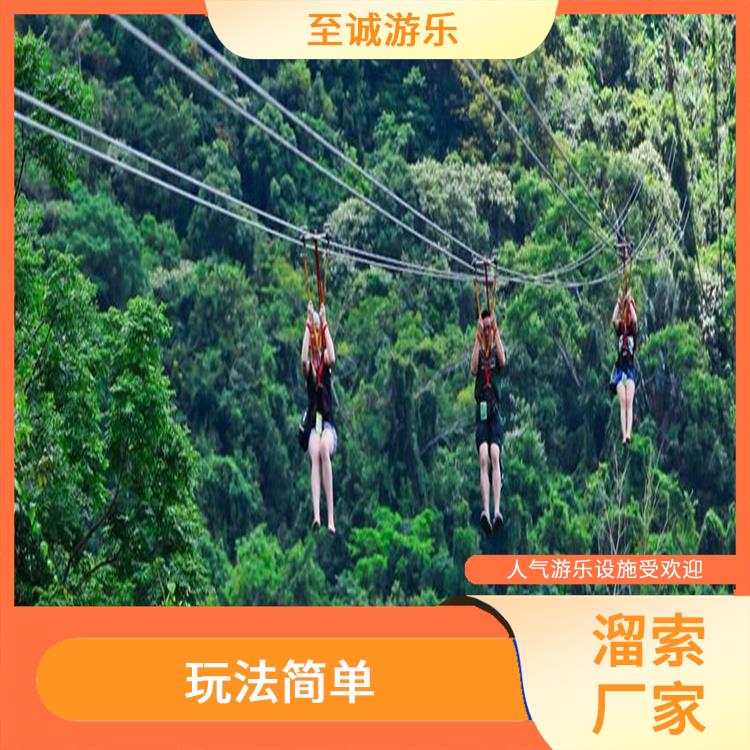 昆明溜索生产厂家 合理利用空间 依靠自身重力滑行