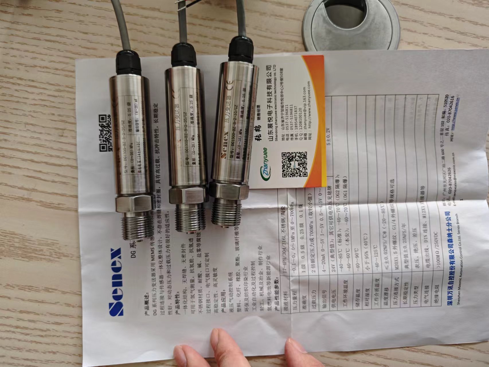 Senex森纳士DG1300-BZ标准型压力传感器
